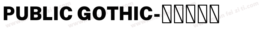 PUBLIC GOTHIC字体转换